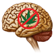 Illustration for article titled Scientists Find a Marijuana-Blocking Compound Made by Your Brain